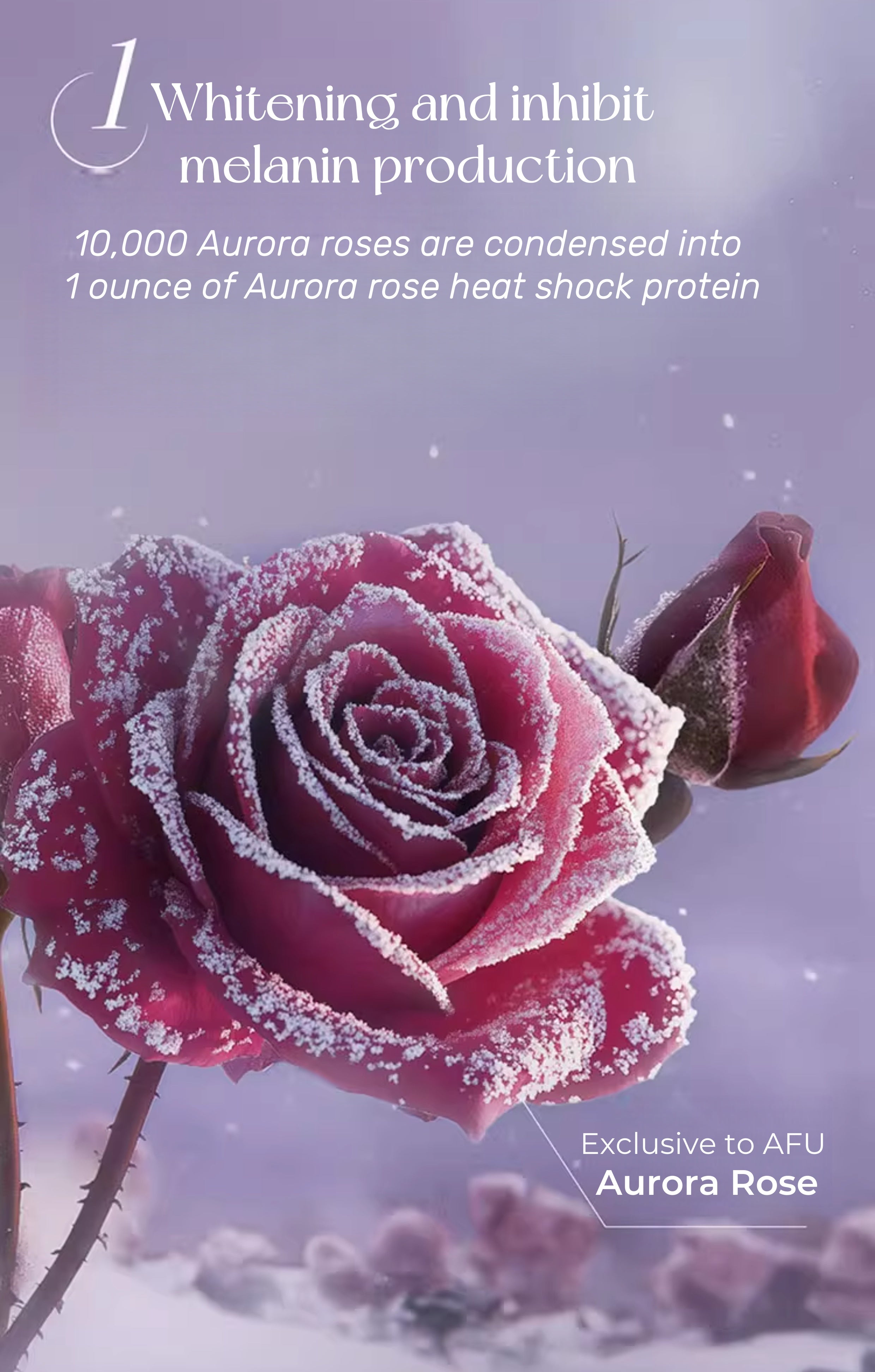 AFU Aurora Brightening Sunscreen Makup Primer SPF25 PA+++ T5129