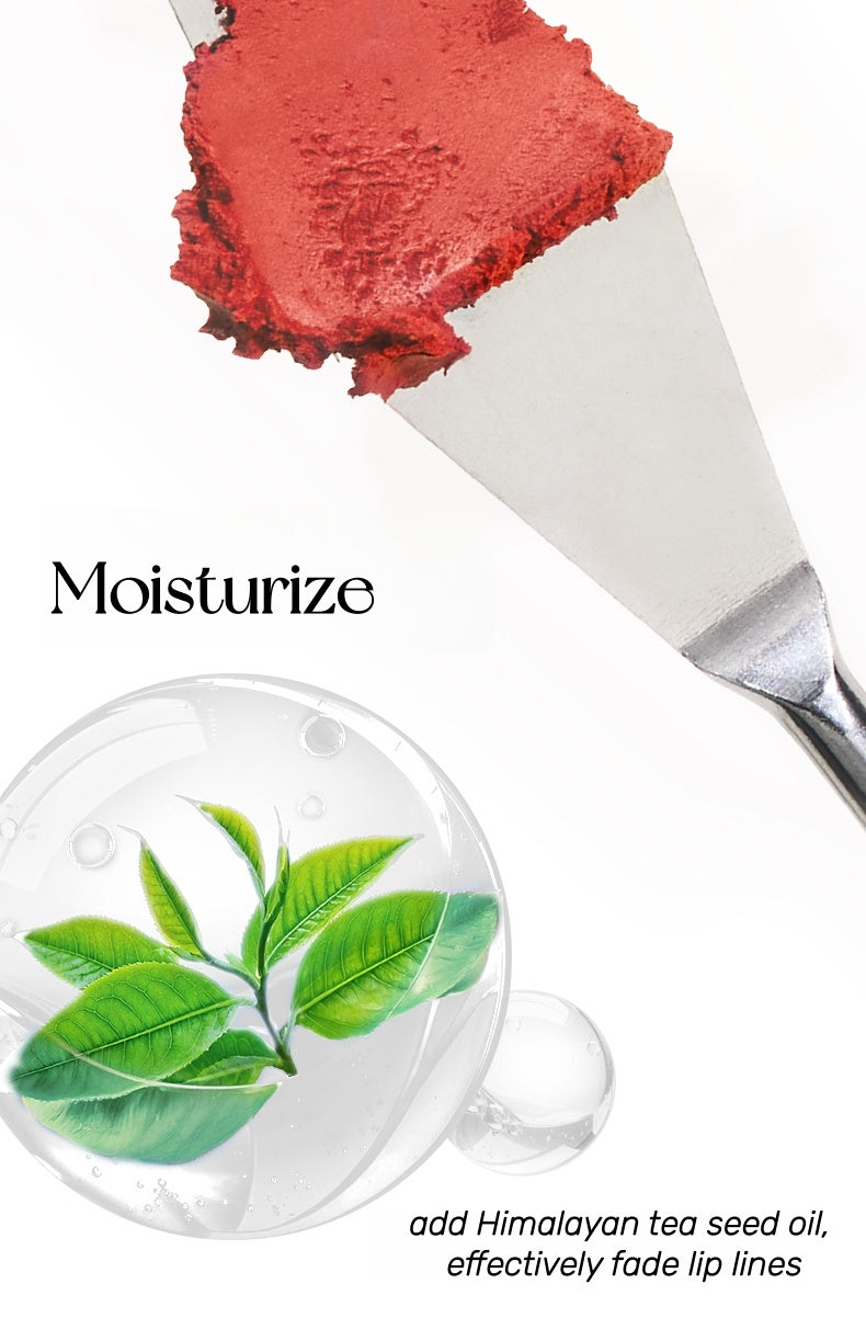 CHANDO Soft Touch Silky Matte Lipstick T5306