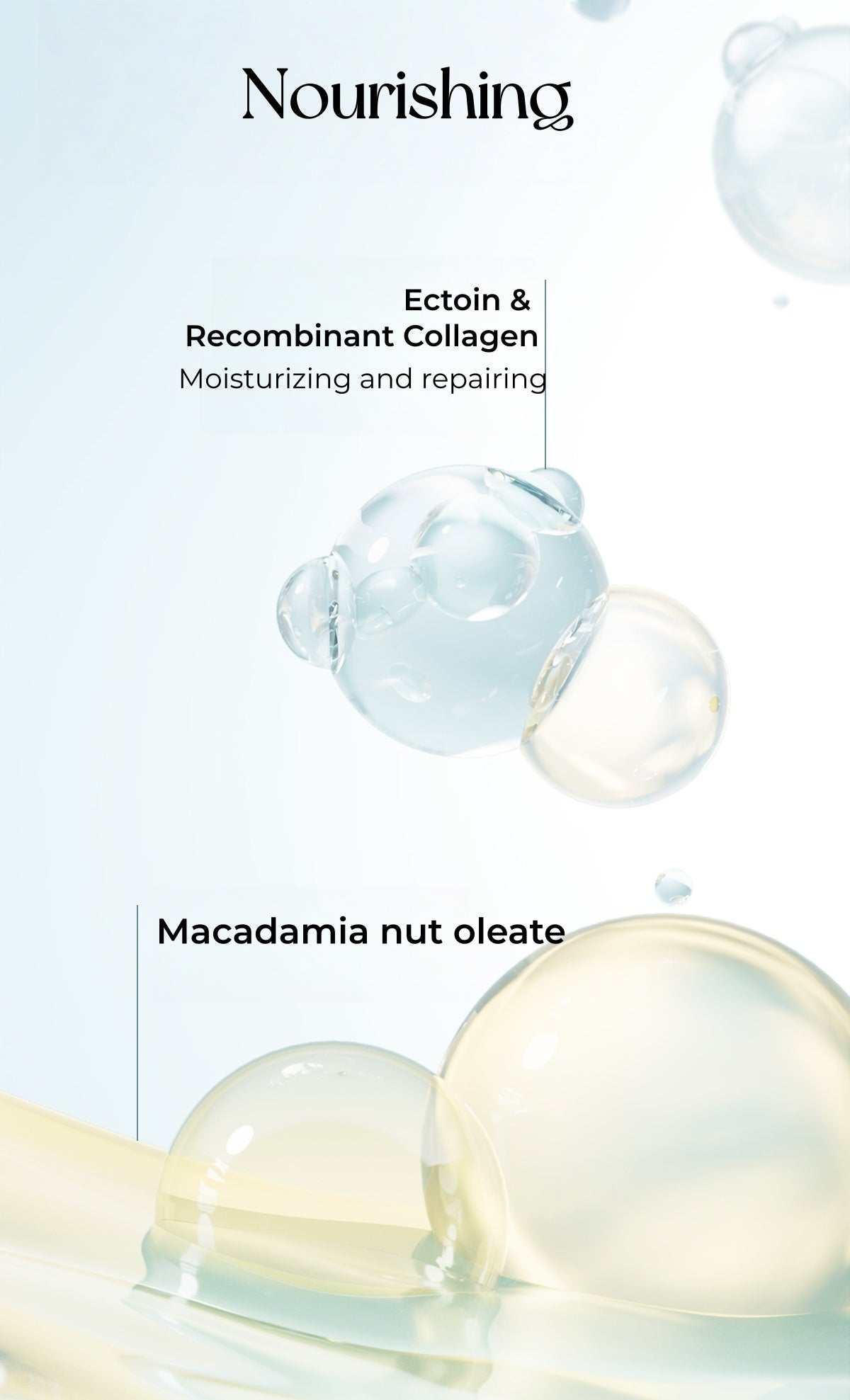 TIMAGE Moisture Concealer & Nourishing Foundation Cream T5276