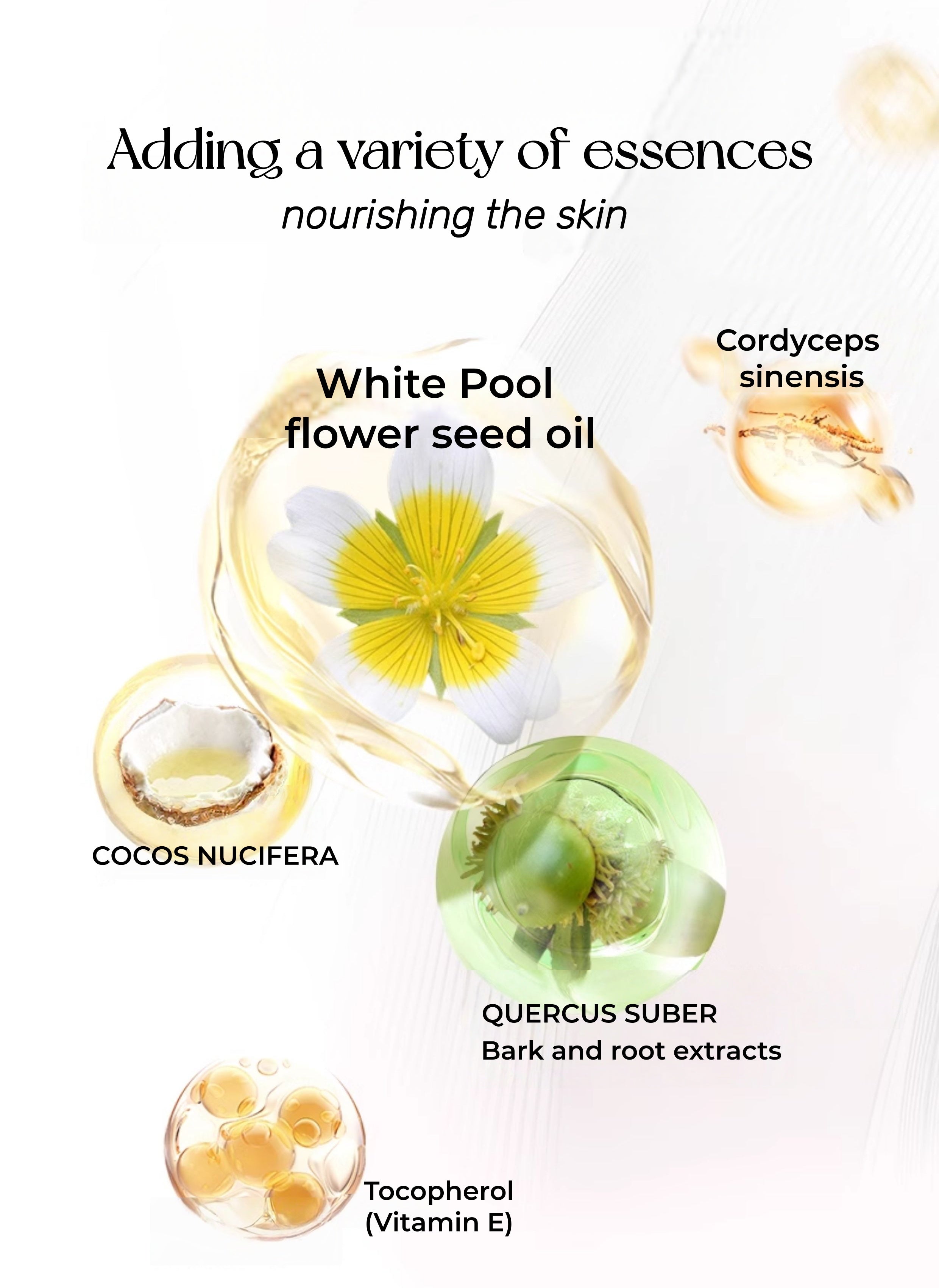 PUCO Long-wear Oil-control Matte Pressed Powder T5341