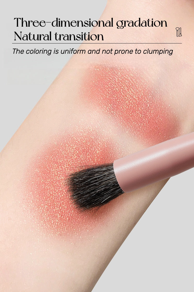 AMORTALS Work Master Collection 12 Pcs Makeup Brushes Set T5264