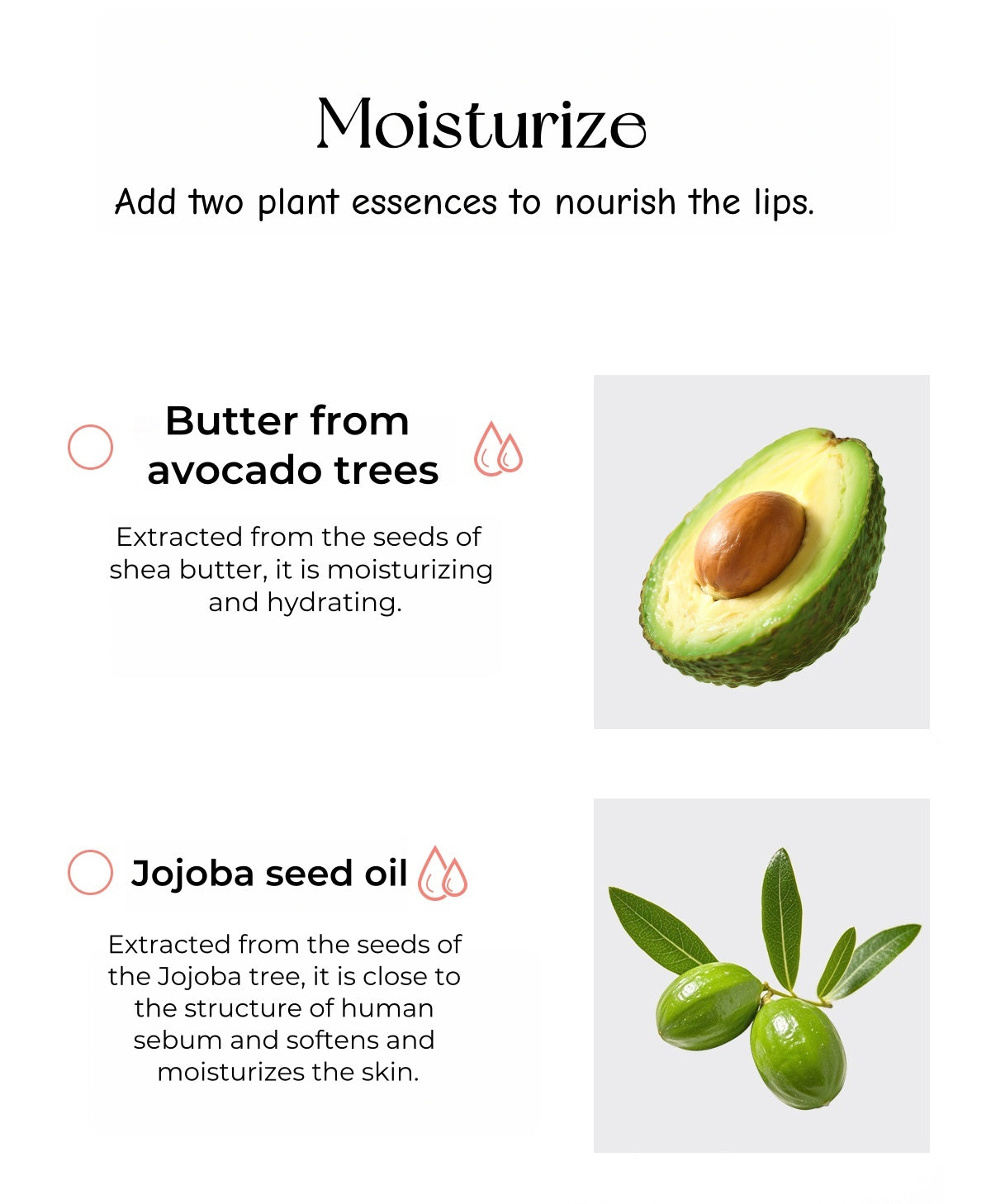 CATKIN Moisturize Essence Ice Glossy Mirror Lip Gloss T5016