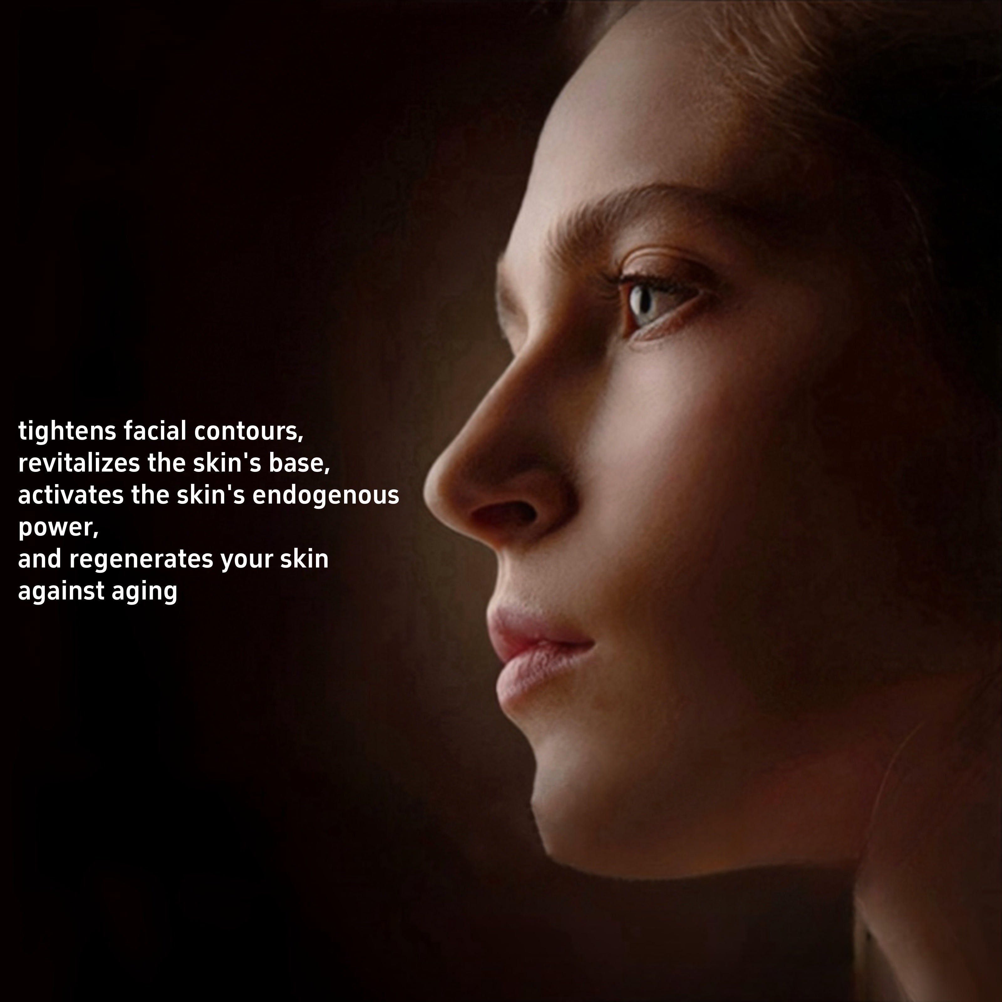 L'Oréal Age Perfect Regenerating Truffles Anti-Aging Essence T4417