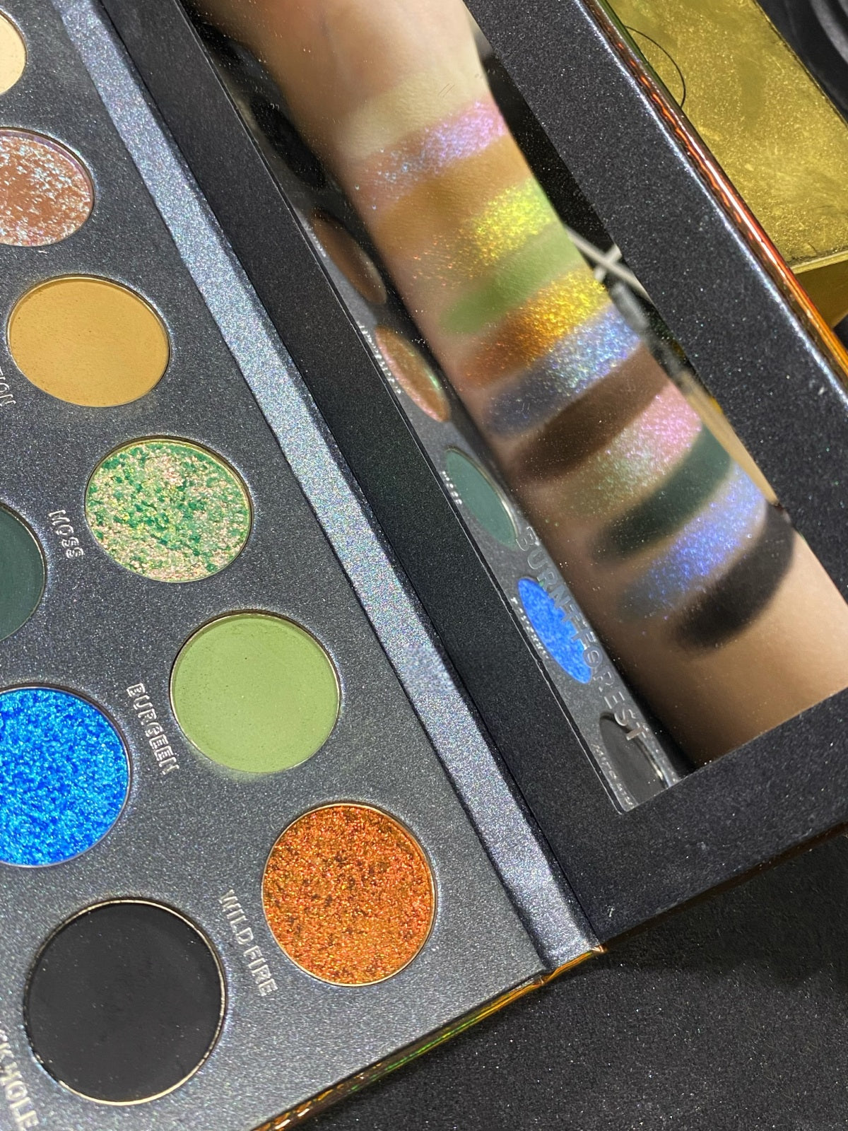 KRYPTEIN COSMETICS BURNT FOREST 12-Color Chameleon Eyeshadow Palette T4584