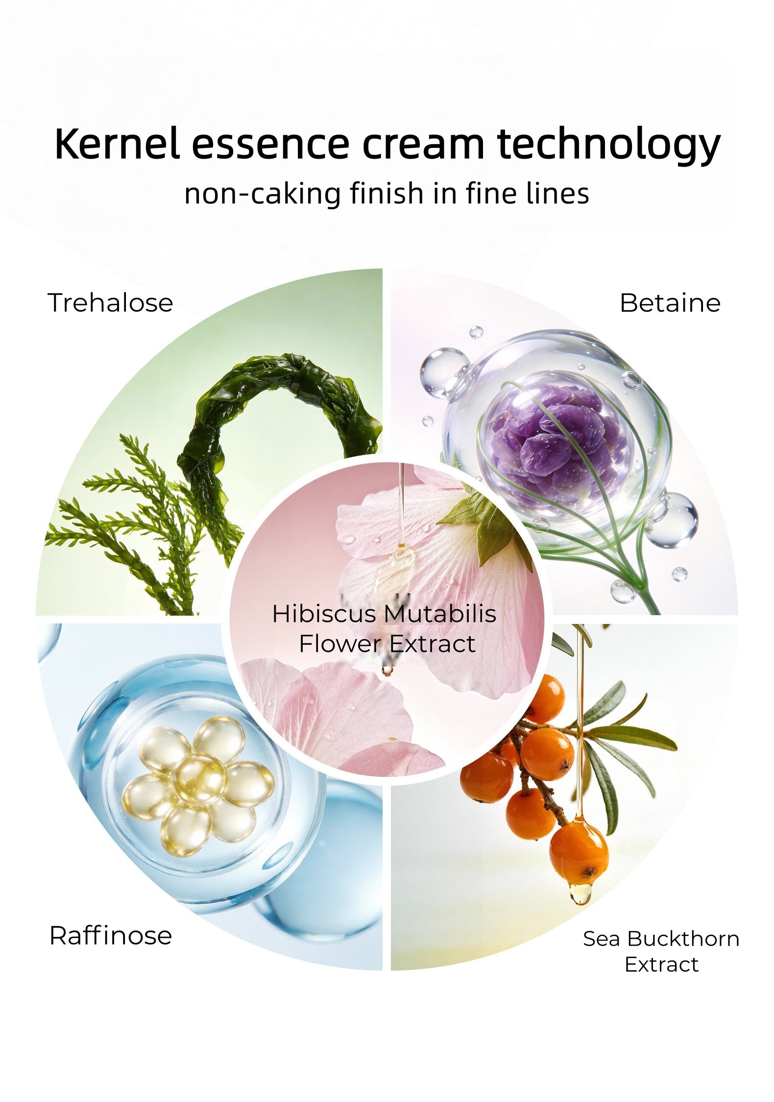 MOOEKISS Concealer Brightening Highlighter & Blusher Liquid T5675