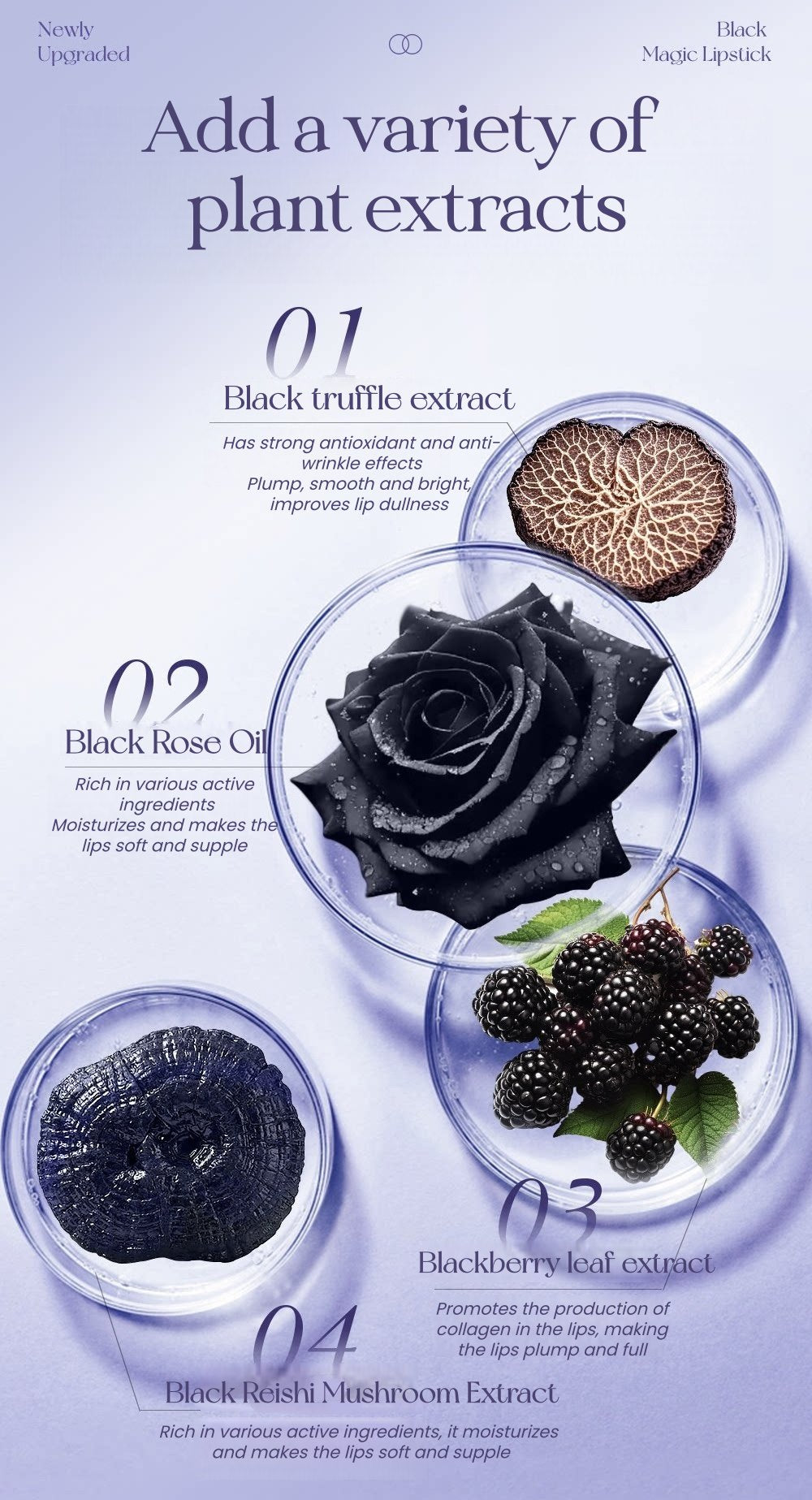 LUONA NOESS Black Magic Collection Moist Glossy Lipstick T5501