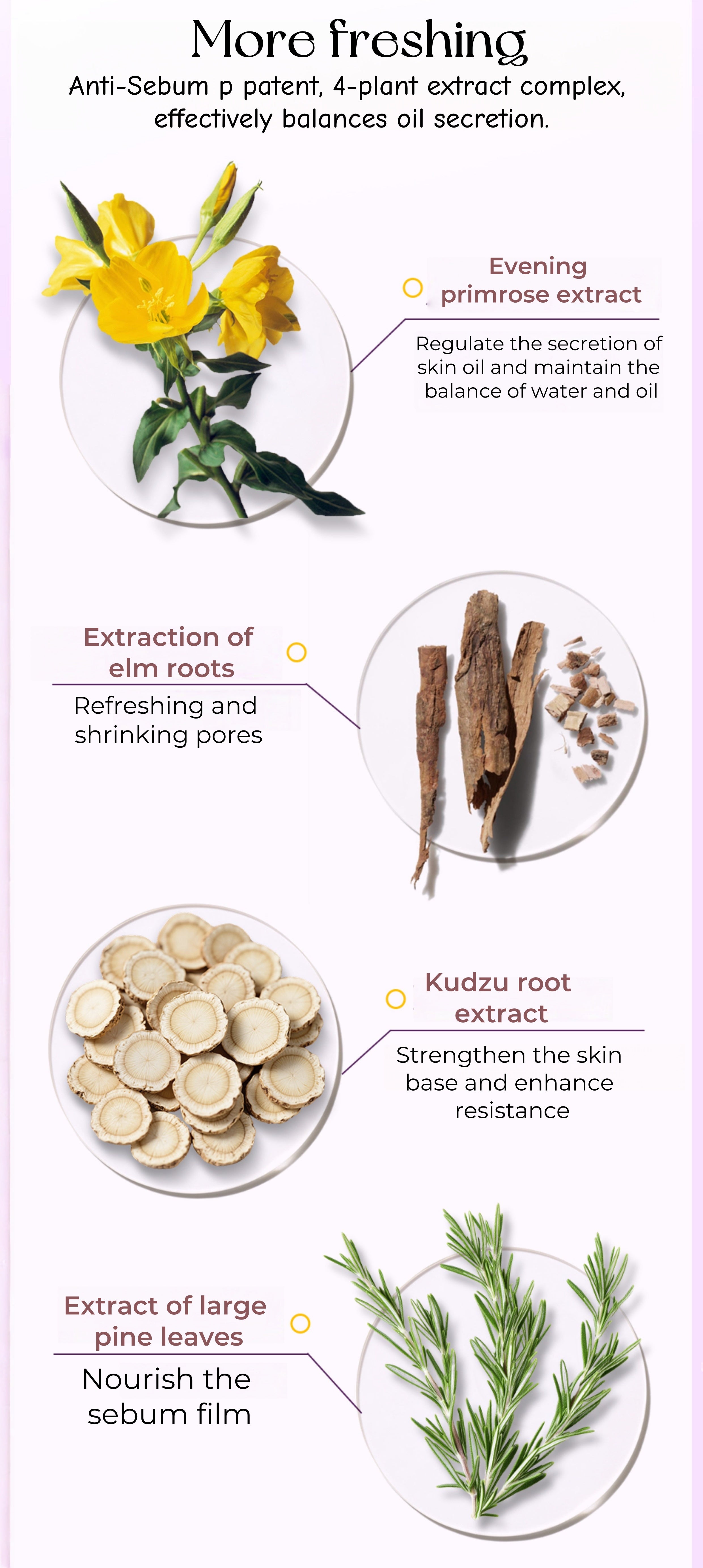 Papa Recipe Purple Honey Can Gentle Exfoliation Facial Mask (3.0) 16 Pcs T5061