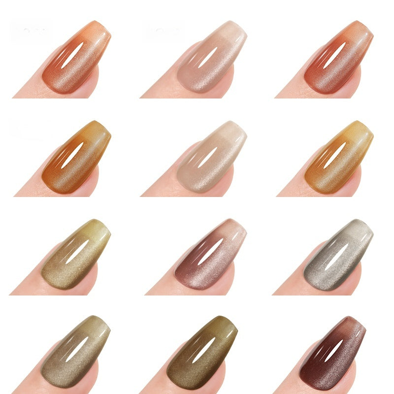 DANZHIHE 12g Maillard Cat Eye Gel Polish T4719