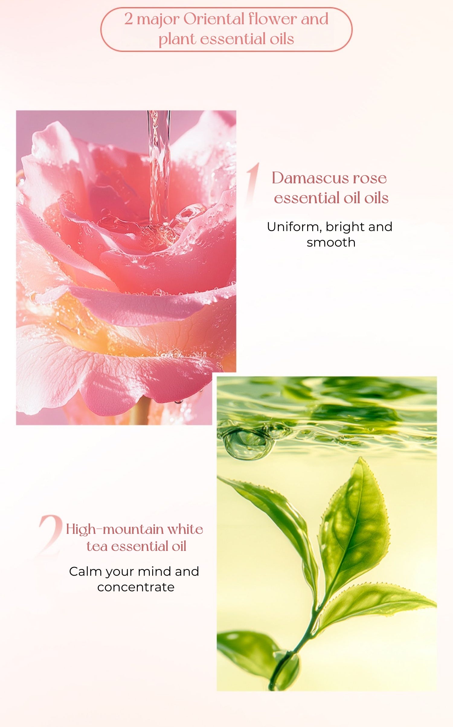 ZHUBEN White Tea & Rose Double-Layer Essential Oil T4834