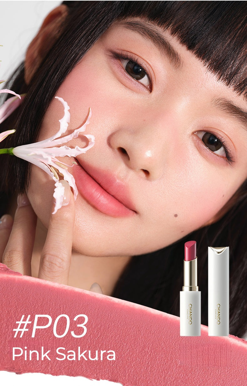 CHANDO Soft Touch Silky Matte Lipstick T5306