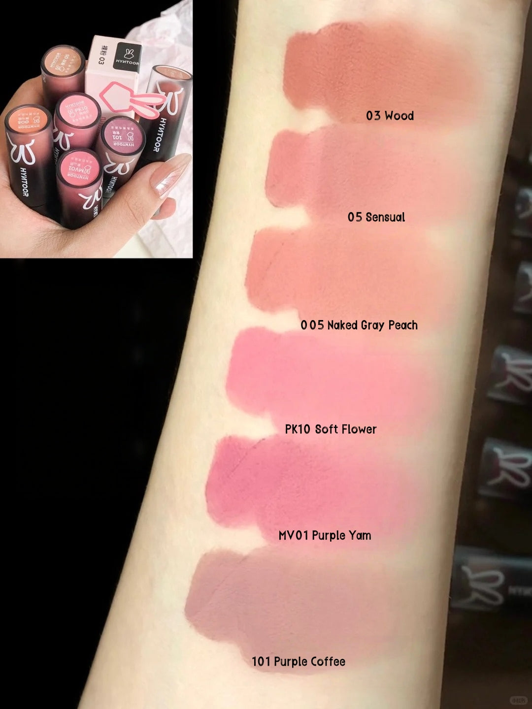 HYNTOOR Velvet Matte Lip Mud #101 Purple Coffee T5214