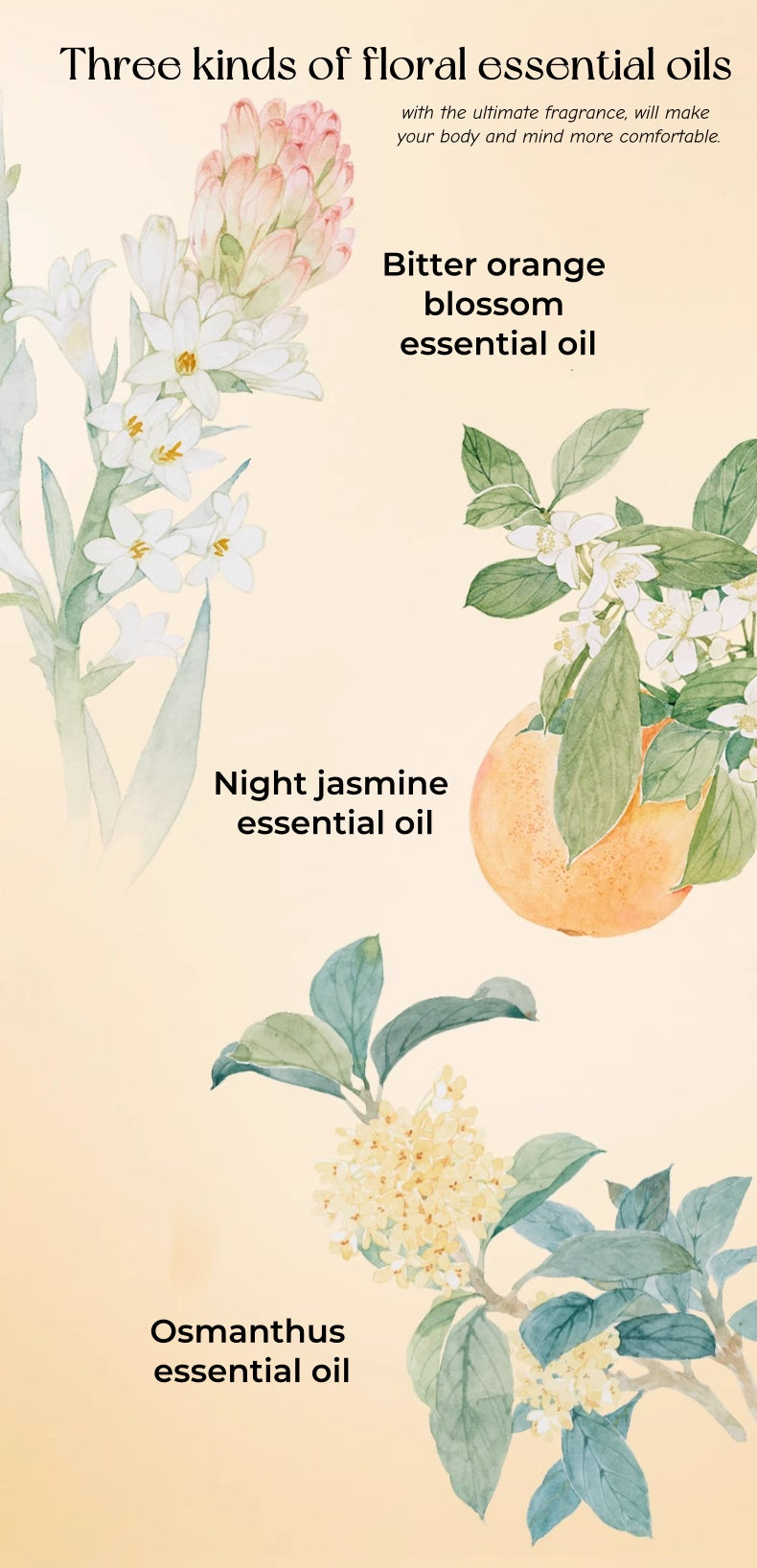 ZHUBEN Sweet Honey Essential Oil Cleansing Makeup Remover Cream T4823