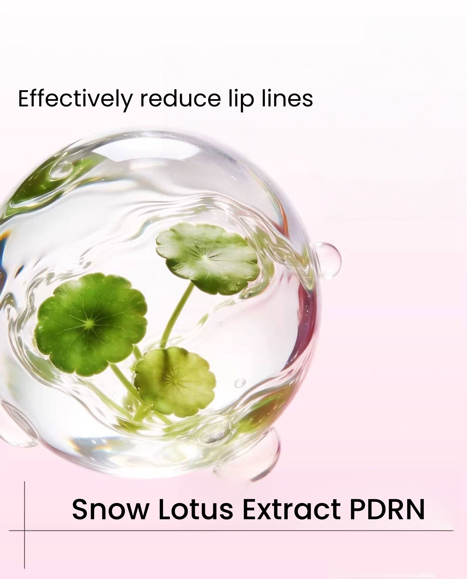 MISTINE Double-head Moist Matte & Glossy Lip Glaze (2.0) T5588