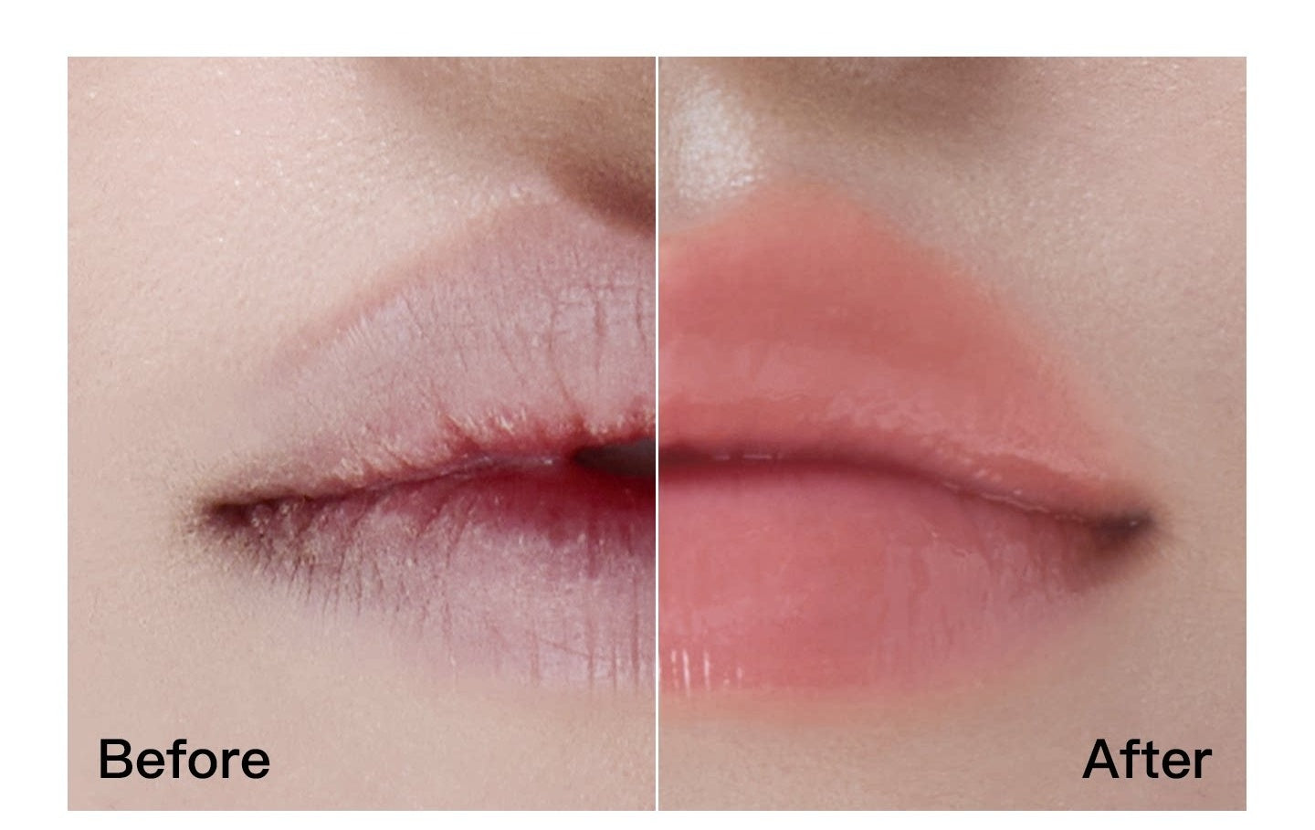 RED CHAMBER Bubble Moist Nourish Lip Oil T5987