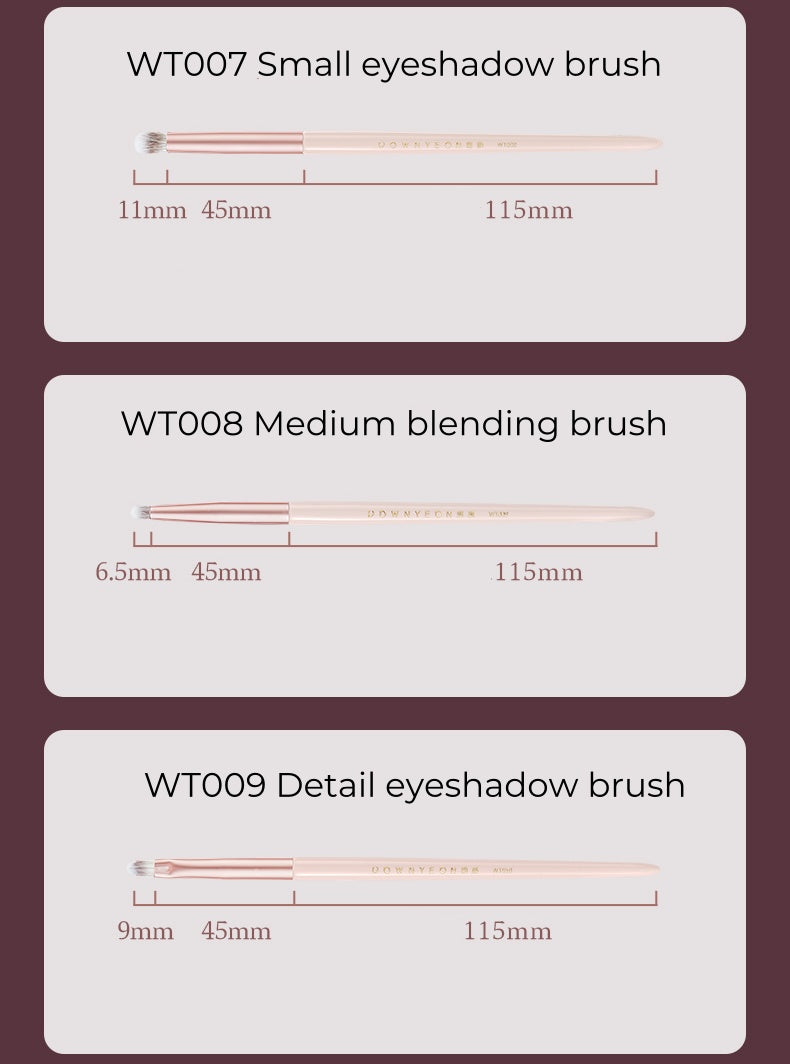 ROWNYEON Mist Peach Professional Makeup Brush 11 Pcs Set T5005