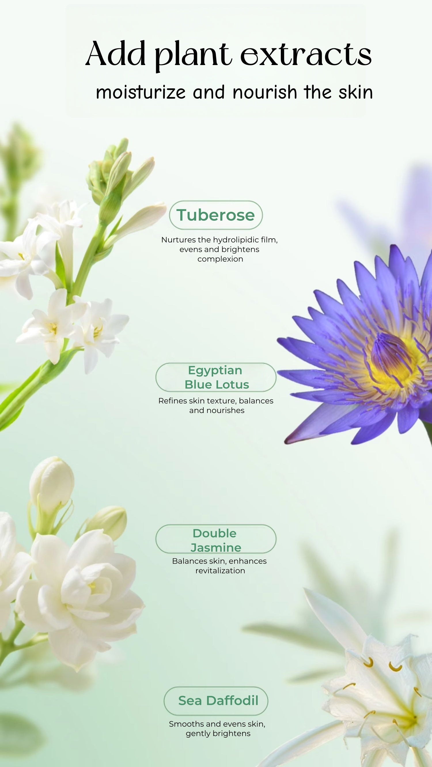 ZHUBEN Jaspideous Cleansing Makeup Remover Oil (3.0) T4832