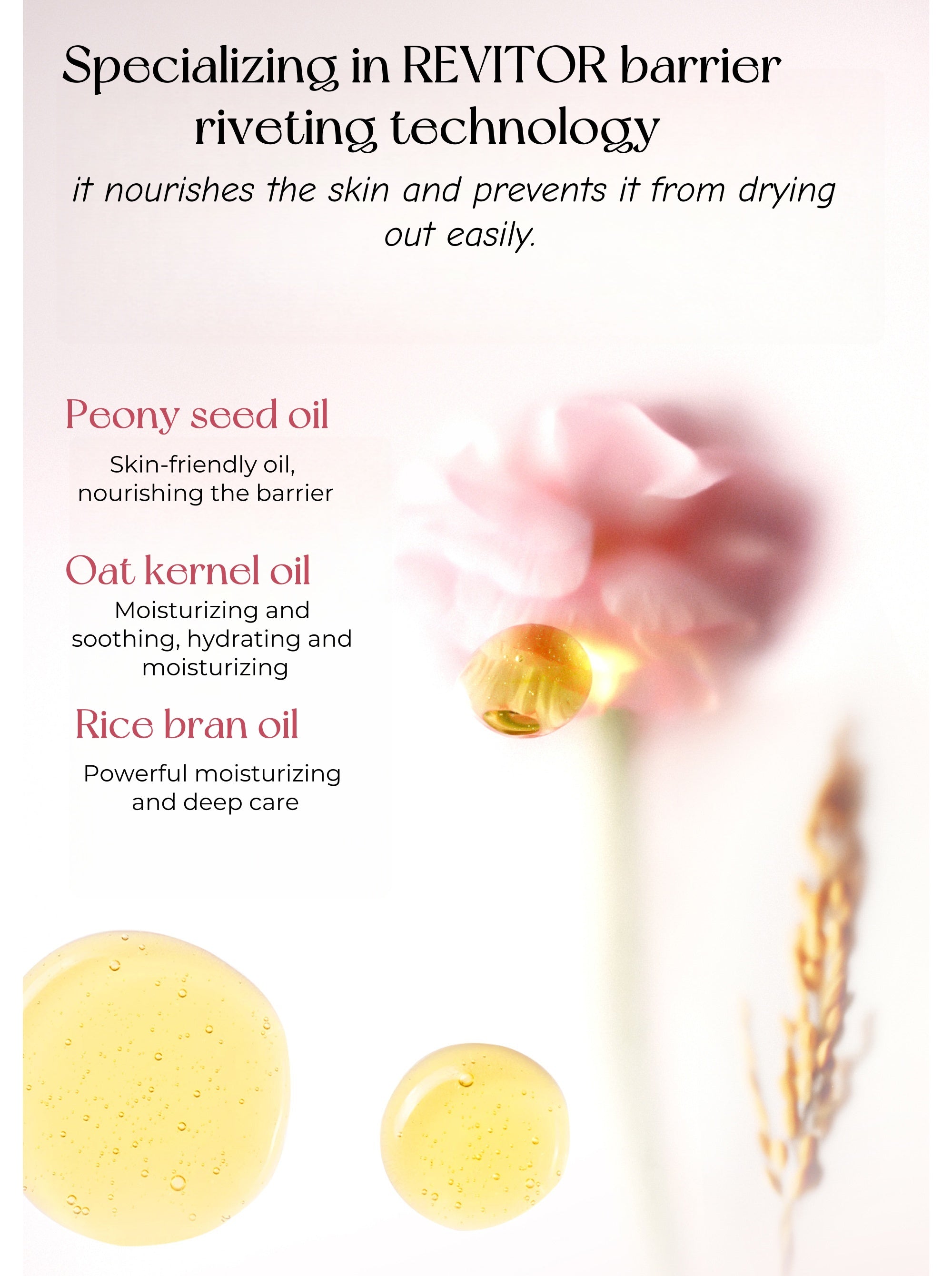 Little Dream Garden Ice-cream Exfoliating Fragrance Body Scrub T4784
