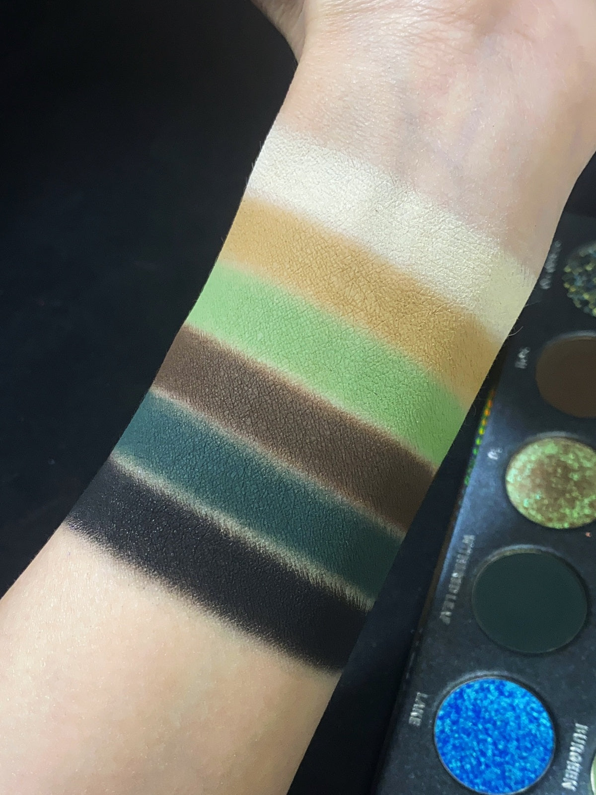 KRYPTEIN COSMETICS BURNT FOREST 12-Color Chameleon Eyeshadow Palette T4584