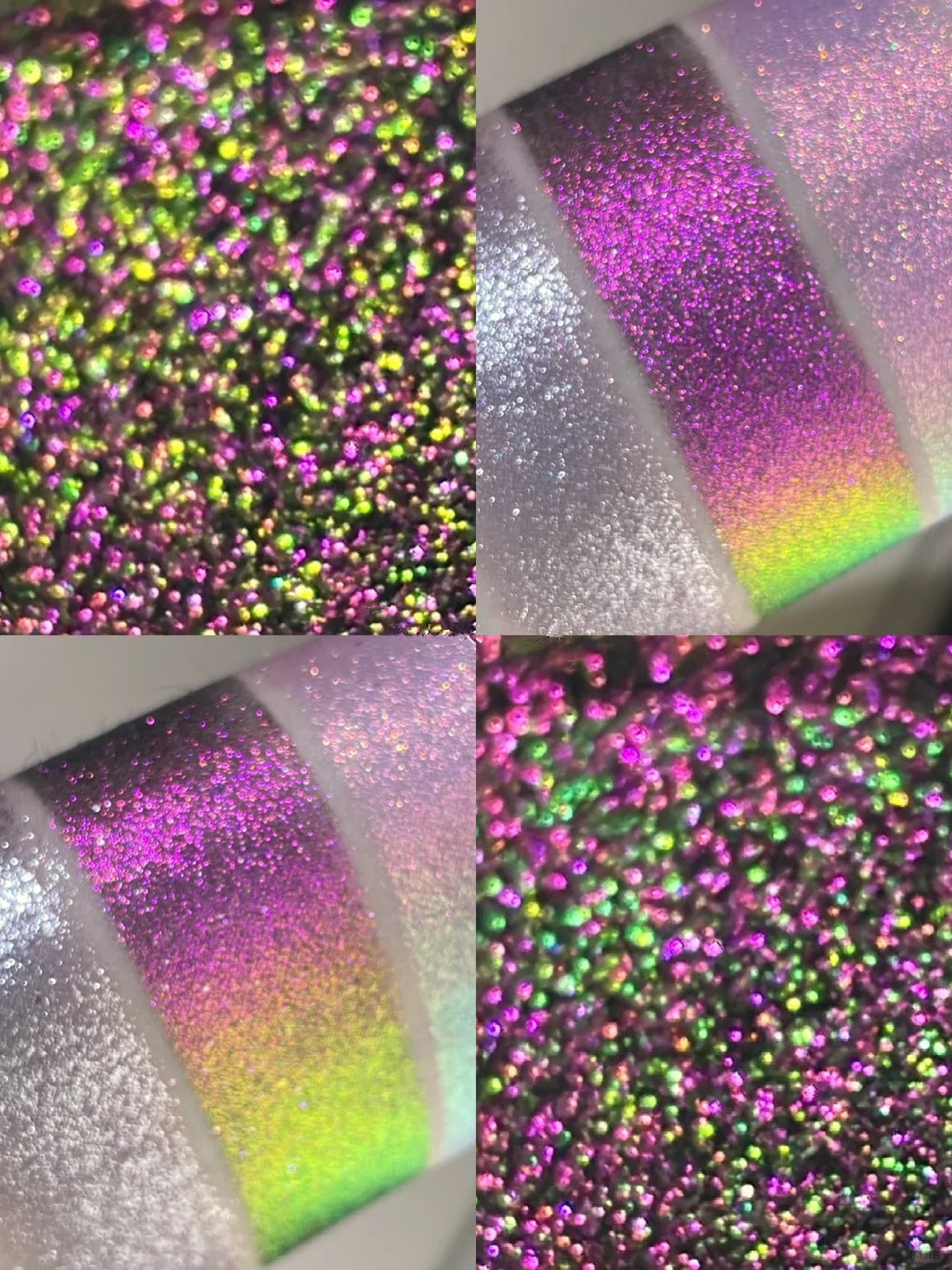 ANTHEMY Butterfly Shadow In Backlight 12-Color Chameleon Eyeshadow Palette (1.0) T4020