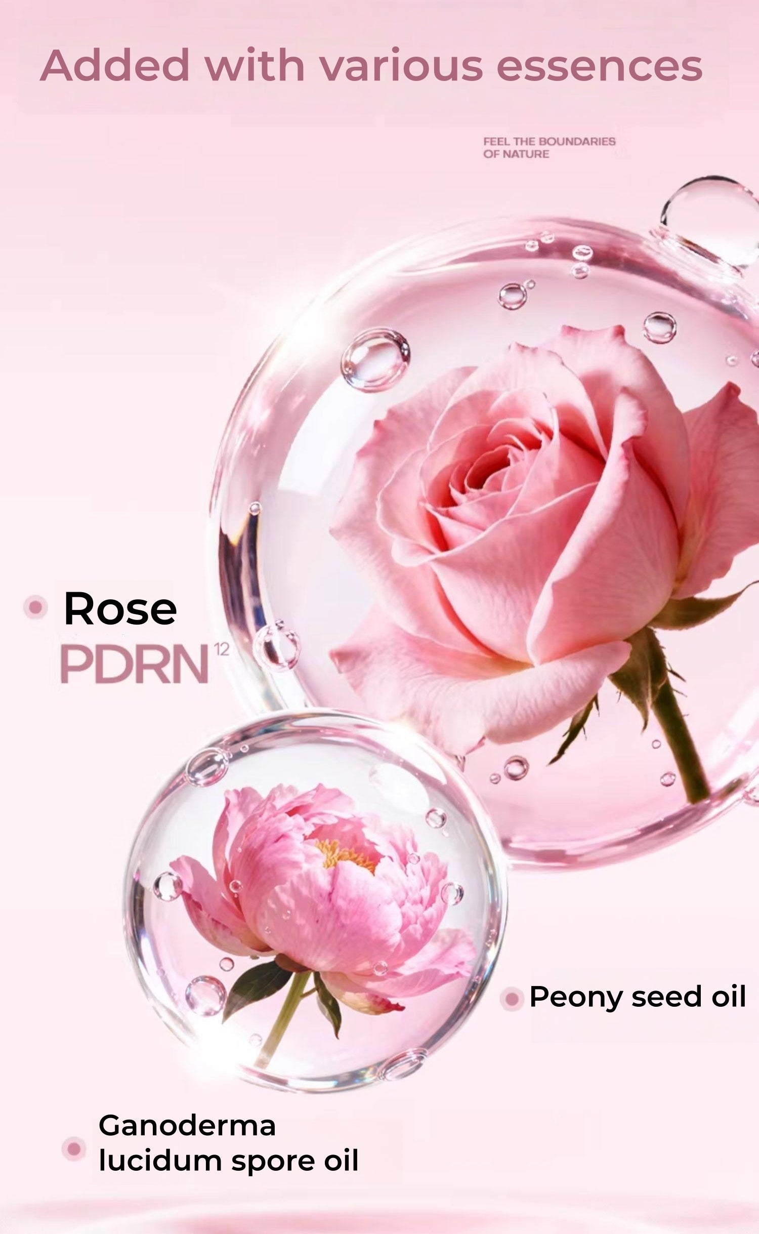 MISTINE Flower Room Collection Essences Nourish Matte & Glossy Lip Glaze T5510