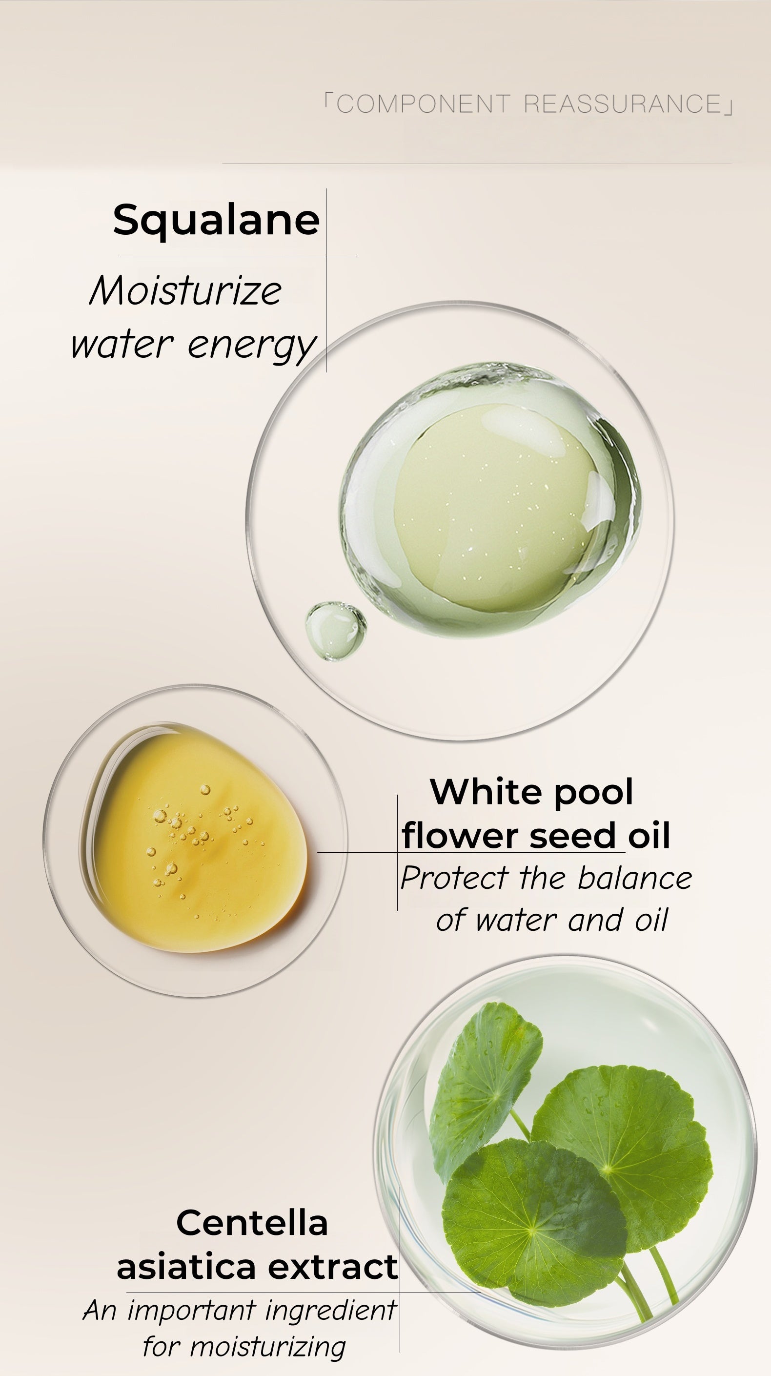 MOOEKISS Brighten Matte Highlighter Makeup Contour Palette T4694