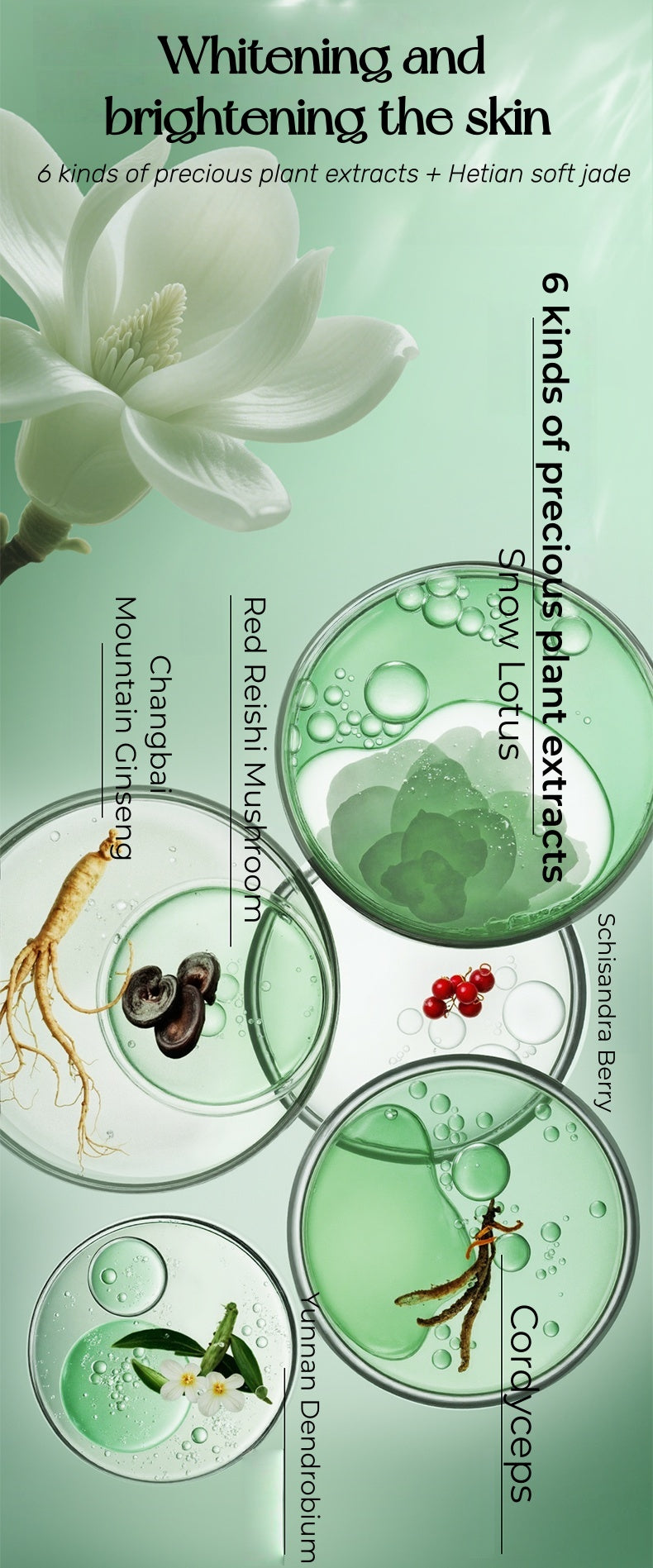 PECHOIN Elf Jade Moist Anti-aging & Firming Facial Cream T5177