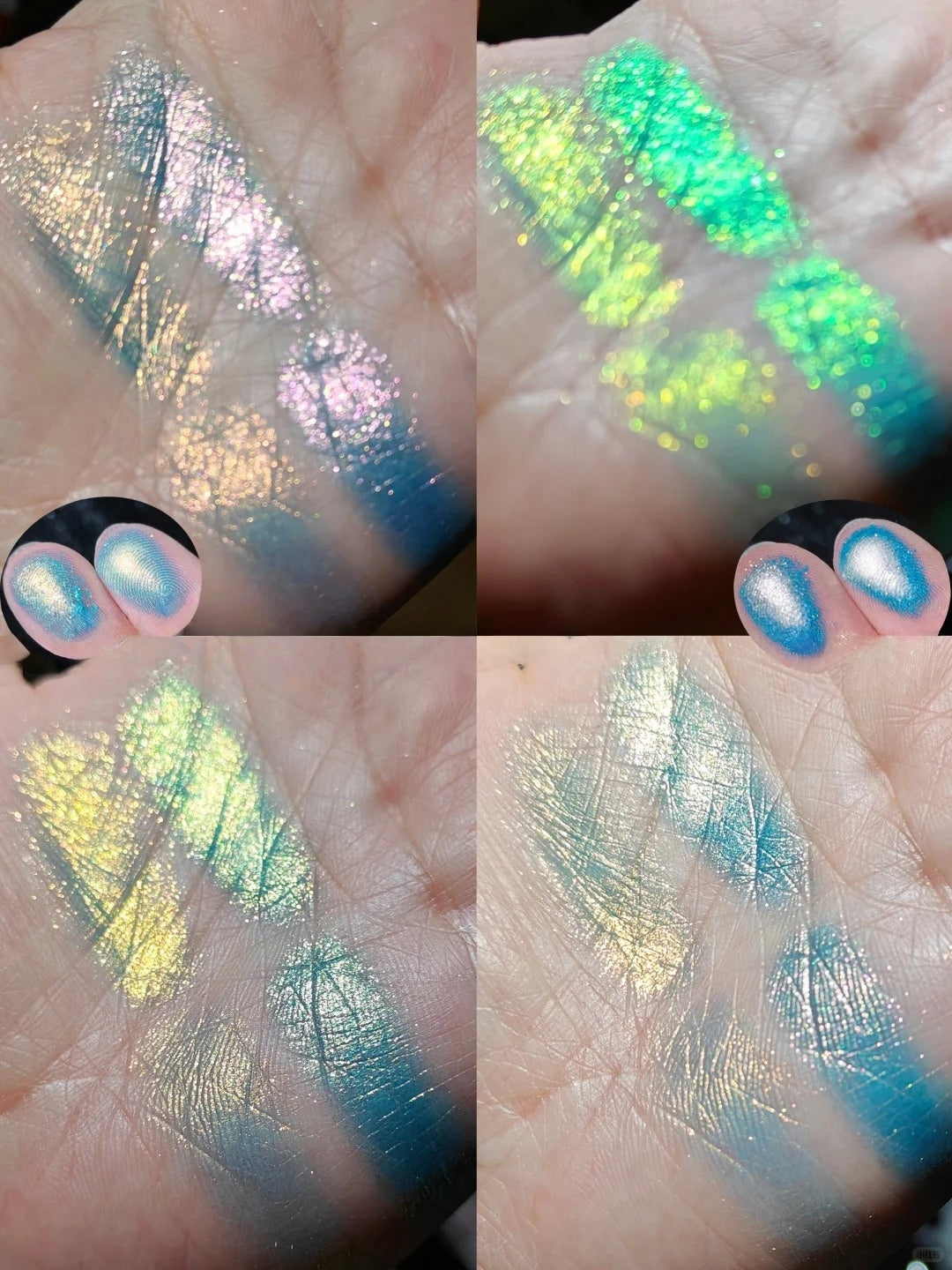 CHOIZ BEAUTY Insect Collection 6-color Eyeshadow Palette T5440