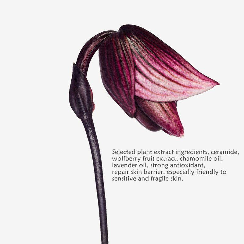 RED CHAMBER 4-Color All-In-One Makeup Palette For Lipstick & Blusher & Eyeshadow T3861