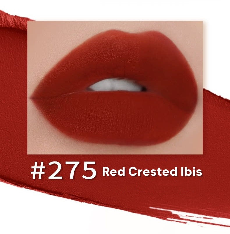 L'Oreal Glossy & Matte Black Tube Lipstick T6032