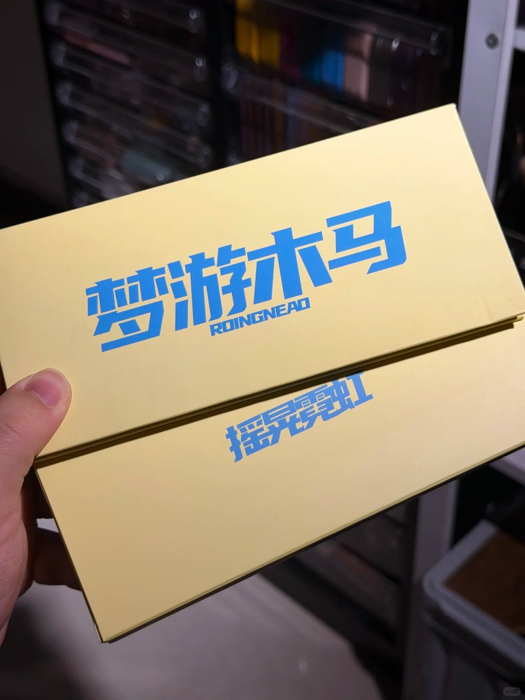 ROINGNEAO Wander Carousel Smoky Eyeshadow Palette T5527