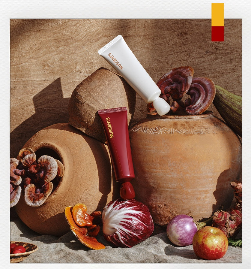 NUSCENTS Coucou Collection Tint Facial Cream T5752