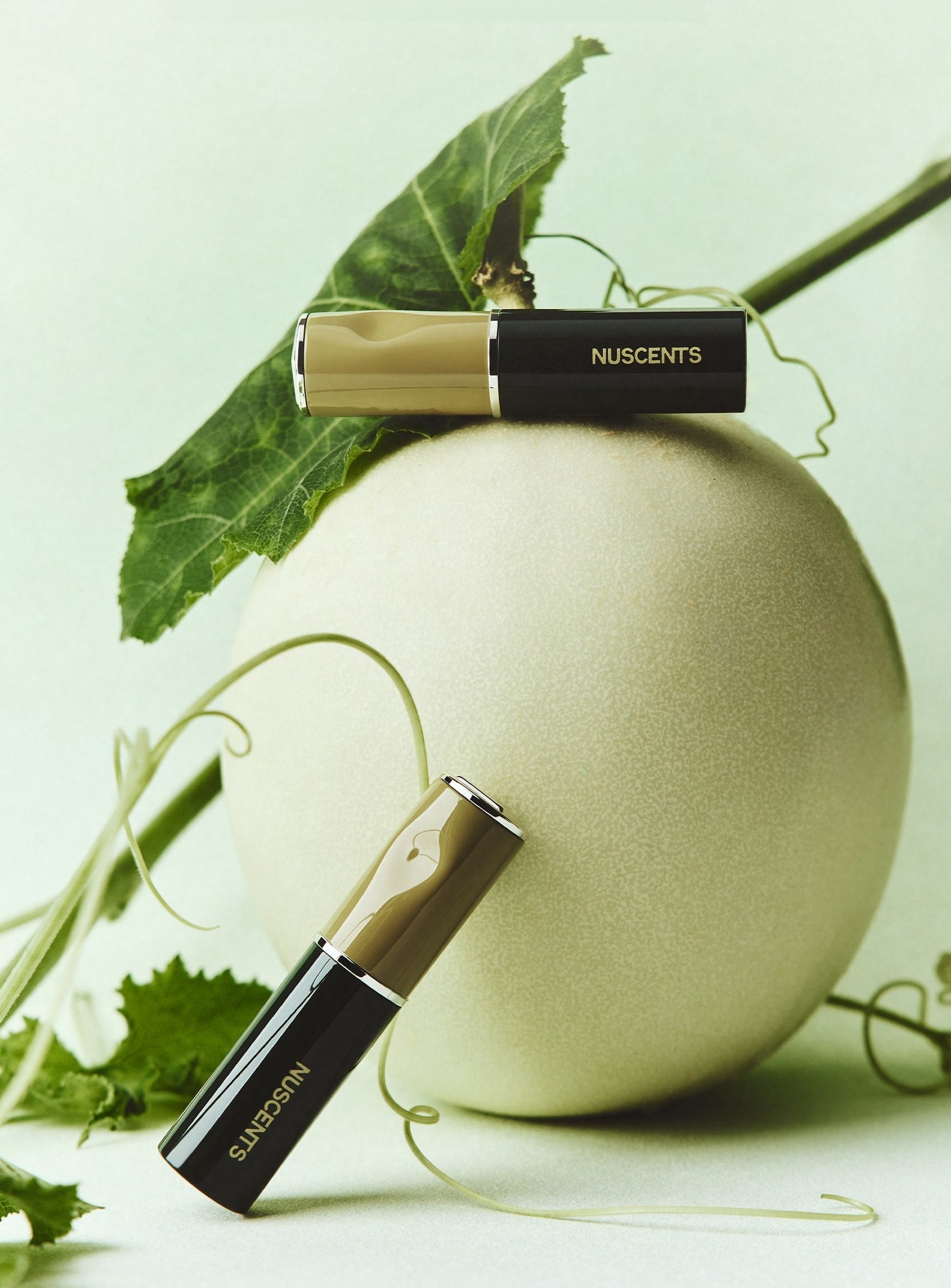NUSCENTS Contour & Highlight & Concealer Makeup Stick T5975