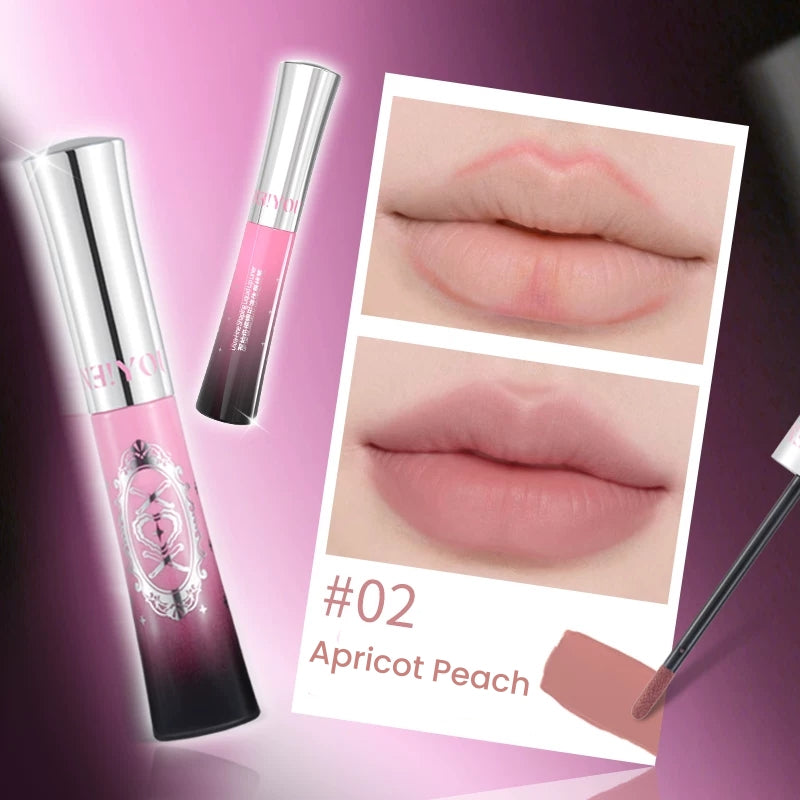 NEIYOU Waterproof Long-wear Liquid Lip Liner T5813