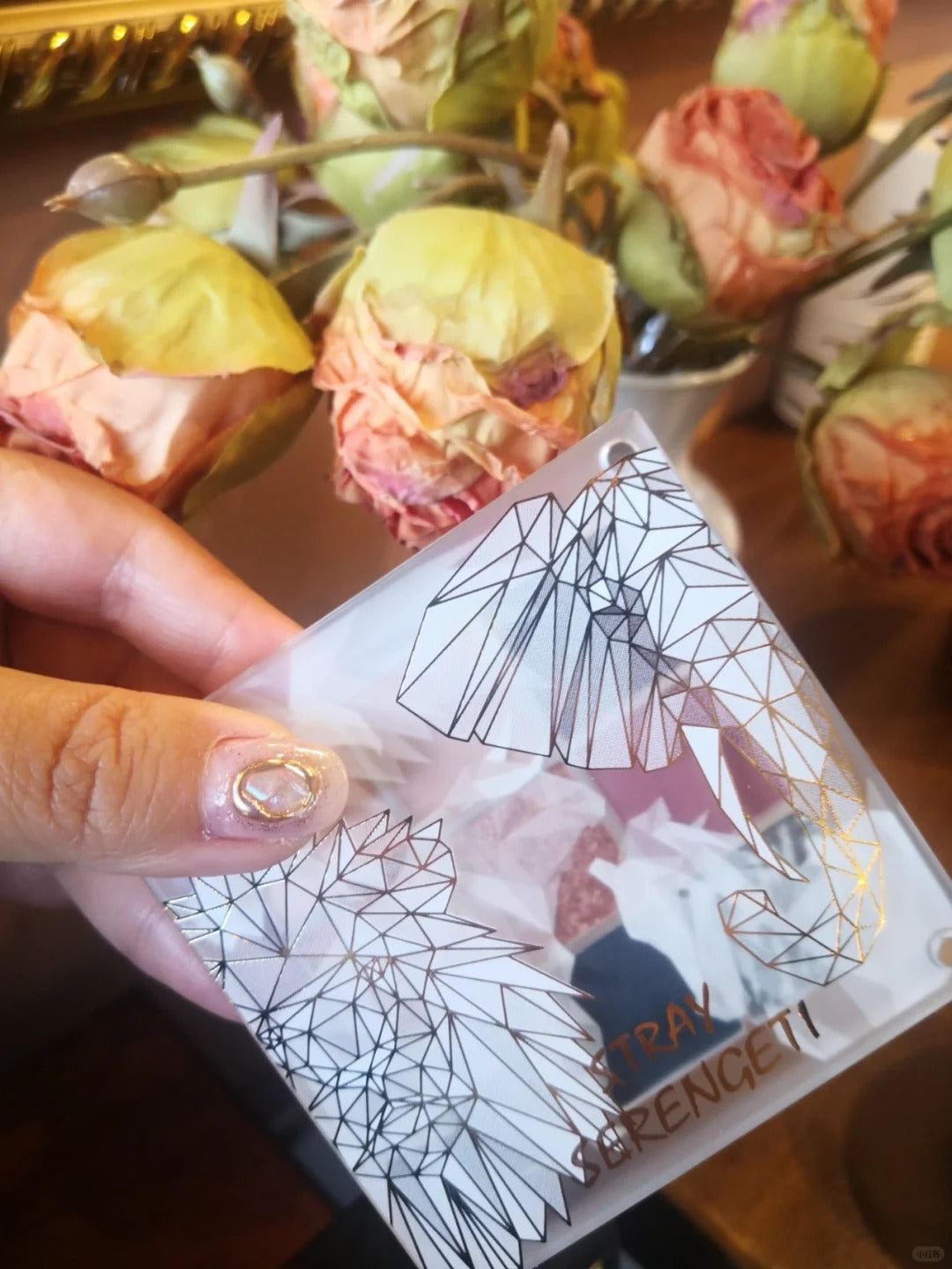 PARPER LAB Endangered Species 9-Color Eyeshadow Palette T4510