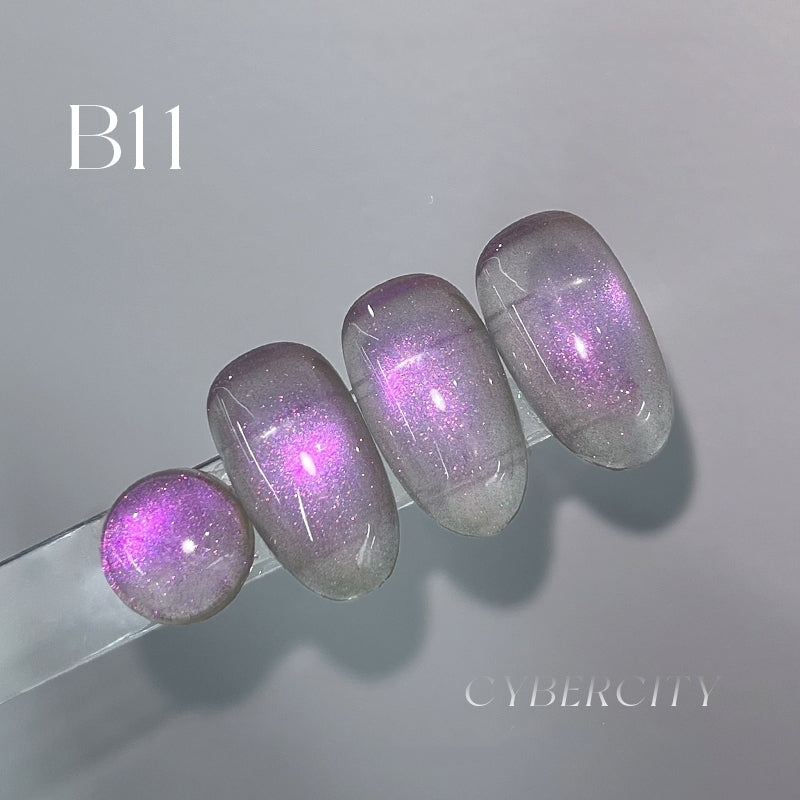 DANZHIHE 12g Cyber City Aurora Cat Eye Gel Polish T4843