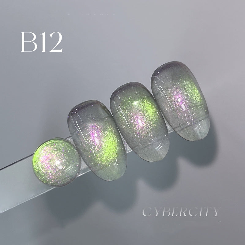 DANZHIHE 12g Cyber City Aurora Cat Eye Gel Polish T4843