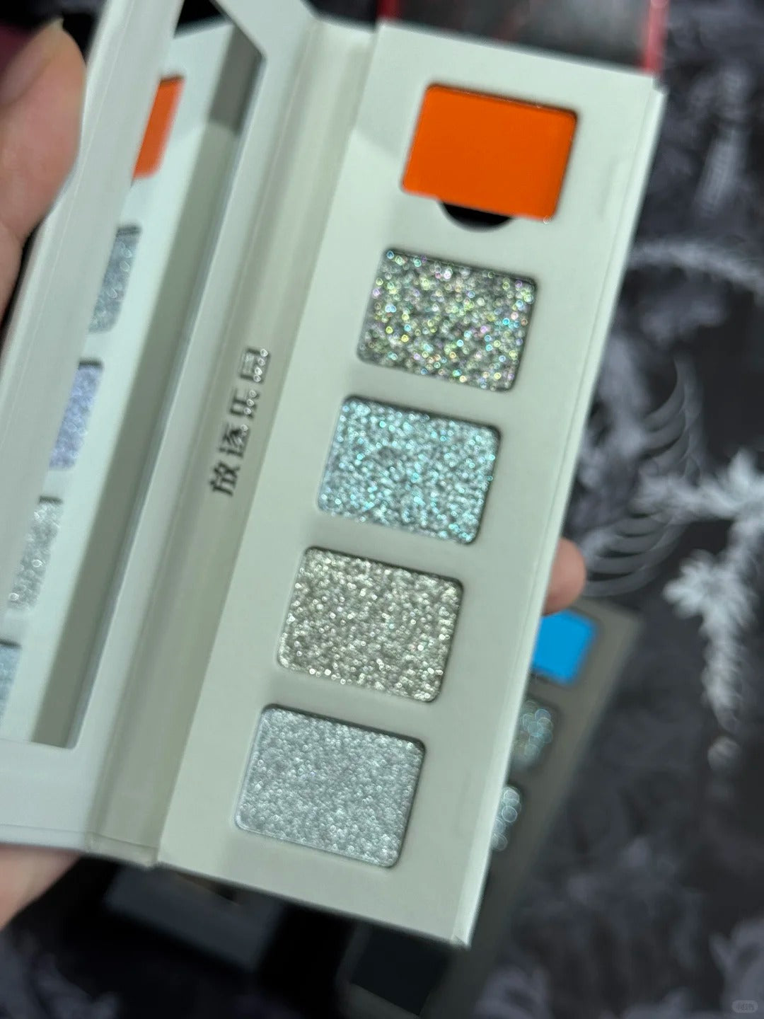 EXILEJOY Color Difference Collection Silver Eyeshadow Palette T5216