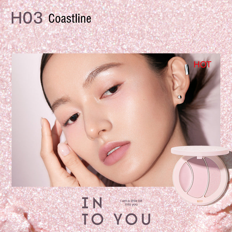 INTO YOU Matte & Pearlescent Highlighter Palette T3767