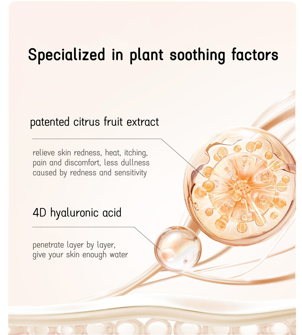 Little Dream Garden Camellia Moist & Brighten Facial Cleanser T4800
