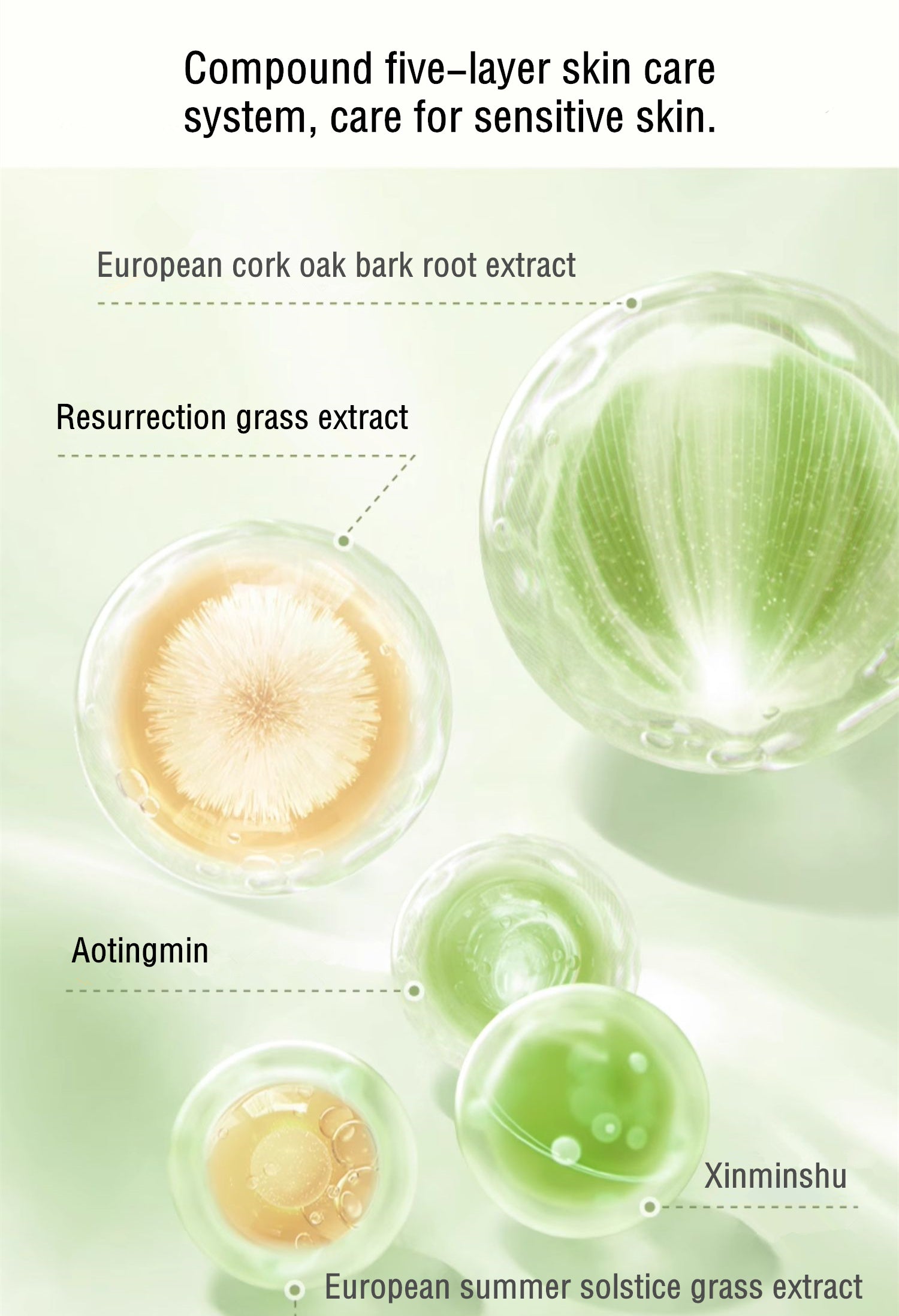 HBN 50ml Revitalizing UV Pretective Essence Sunscreen Lotion SPF50+ PA++++ T4034