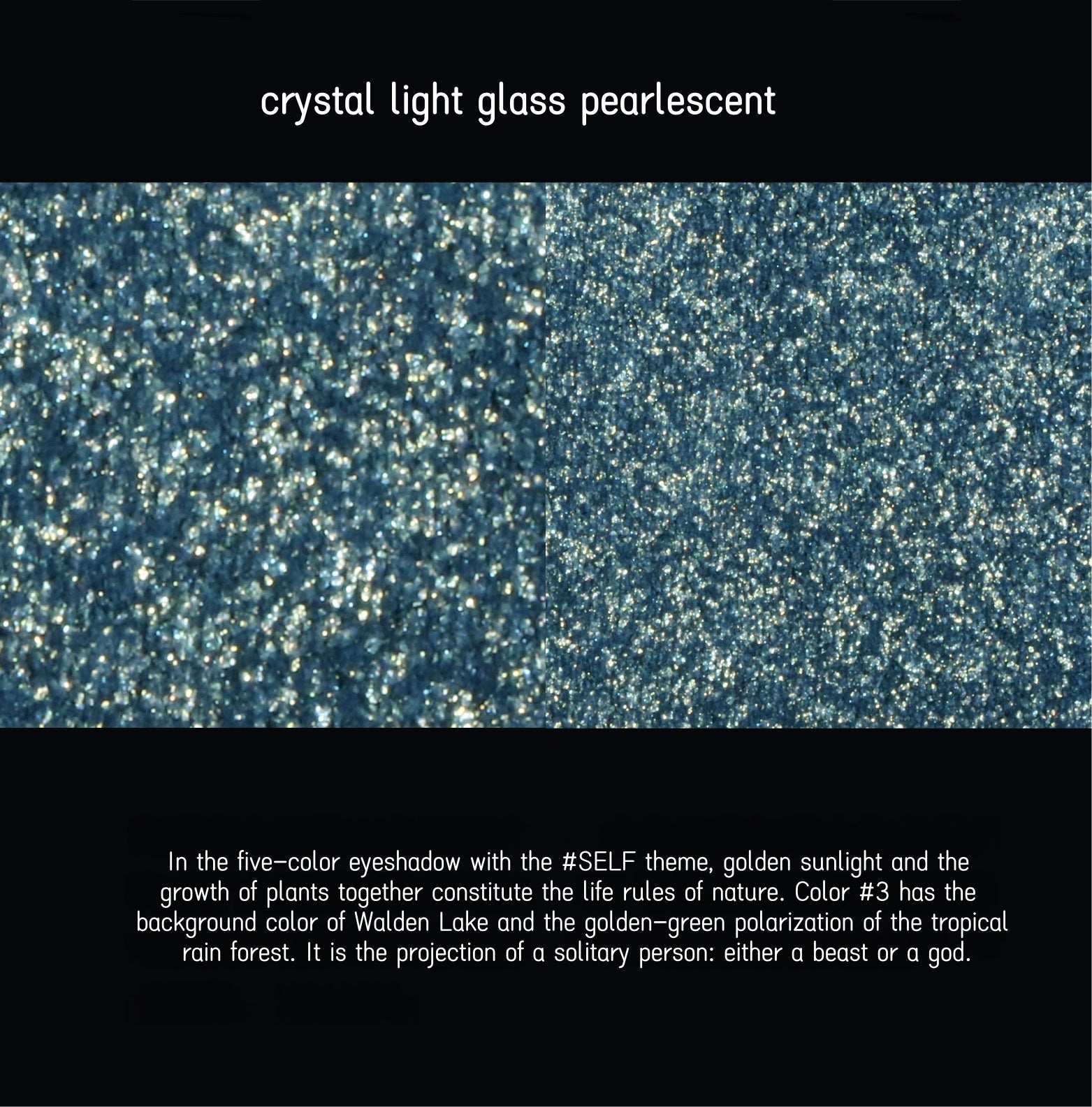 ODDITY 5-Color Eyeshadow Palette #SELF T4564