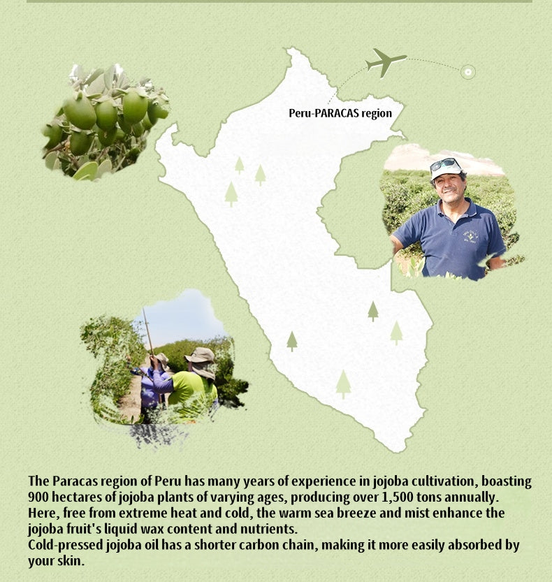 AFU Moisture Dissolve Blackhead Jojoba Oil & Carrier Essential Oil T5141