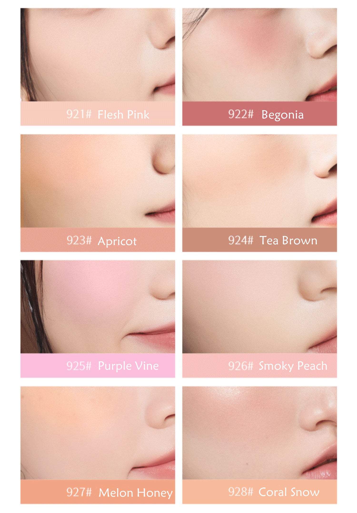 SPENNY Baked Powder Matte Makeup Blusher T4258