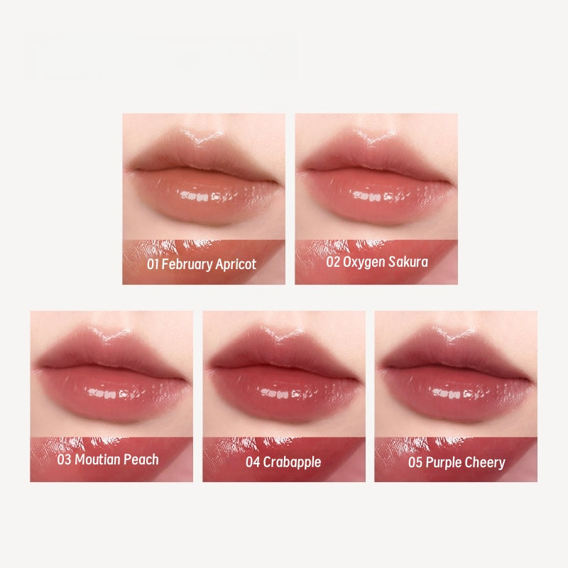 CAREMILLE Moisture Long-wear Sheer Glow Glossy Lipstick T5049