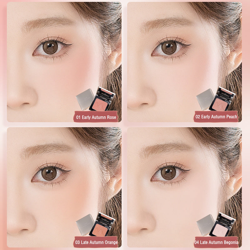 ORIGINAL ARTIST Red Maple Liquid Baked Satin Makeup Blusher T4175