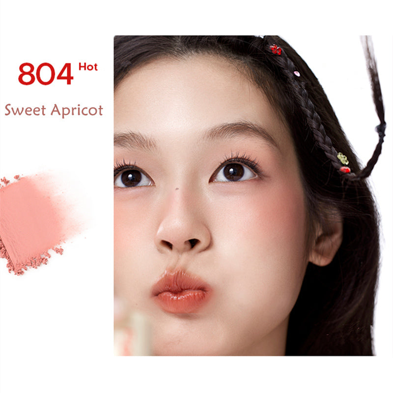 Fidoo Sweet Swelling Matte Blusher Powder T4033