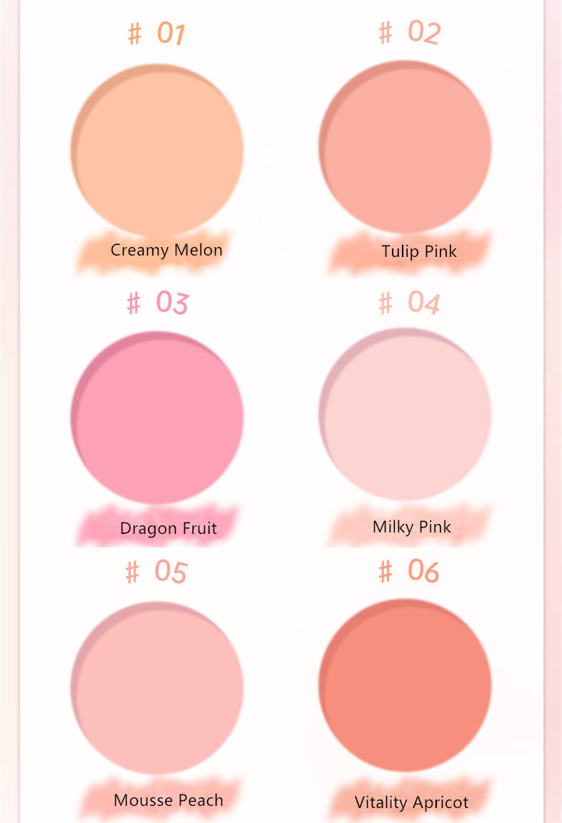PUCO Liberalism Free Mono Matte Makeup Blusher T4236