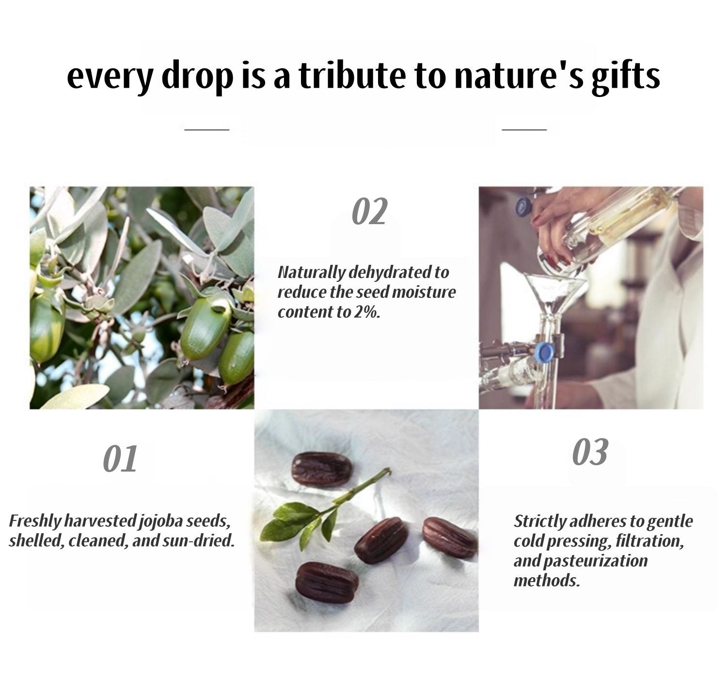 AFU Moisture Dissolve Blackhead Jojoba Oil & Carrier Essential Oil T5141