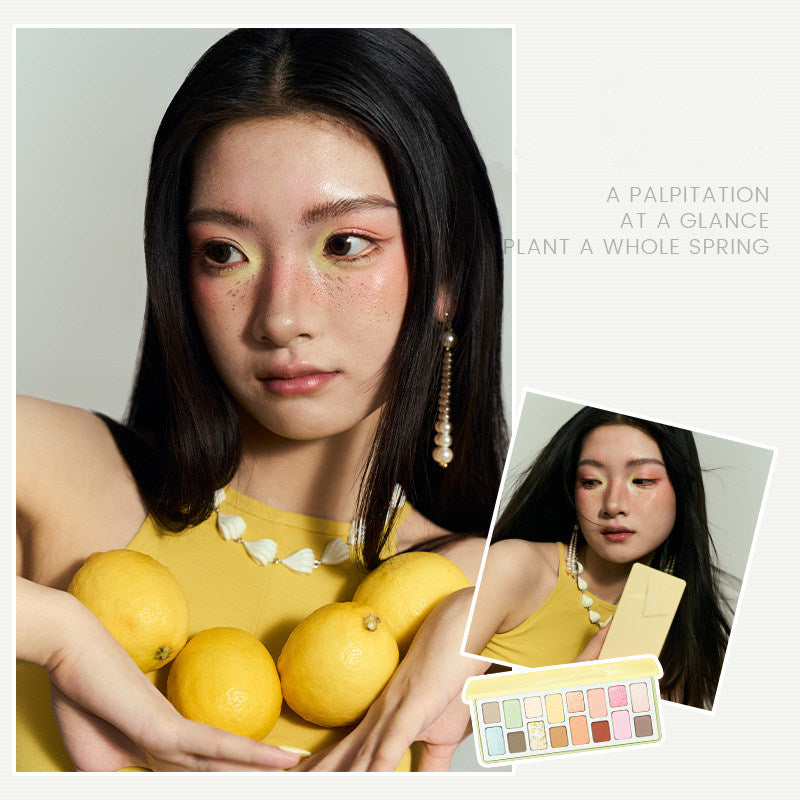 QianYan Lime Cheese 16-Color Eyeshadow Palette T4349