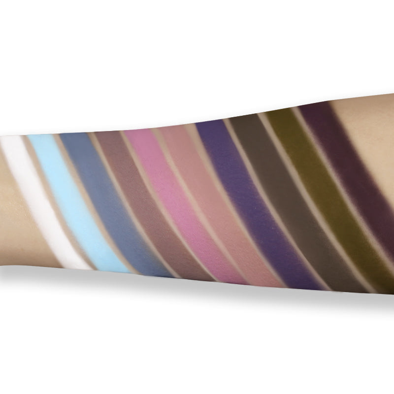 CHOIZ BEAUTY Cold Butterfly 10-Color Matte Eyeshadow Palette T4285